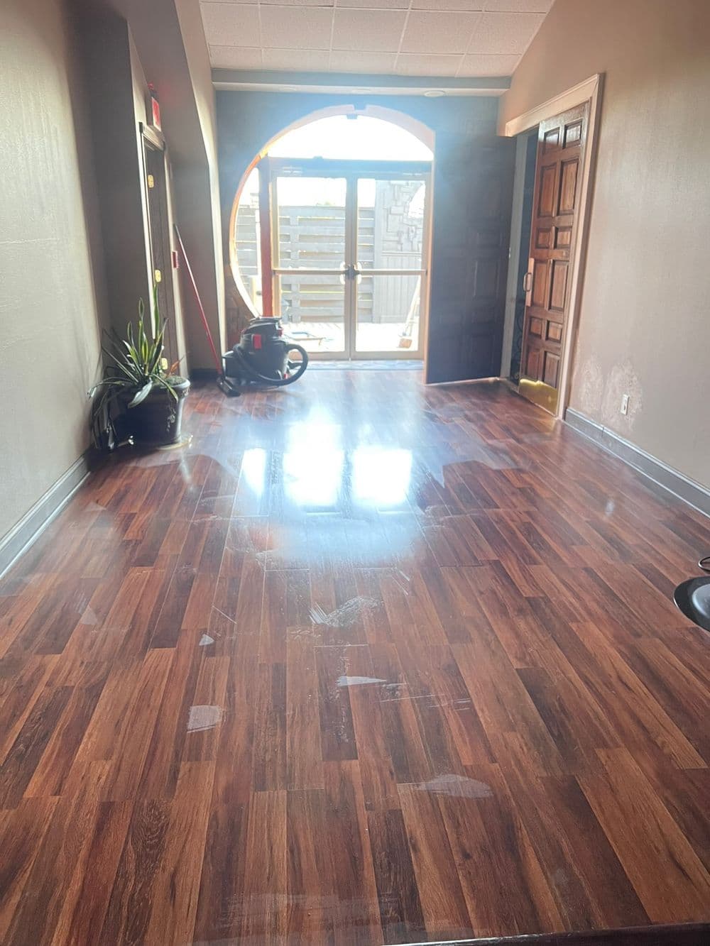 Shiny wooden floor in hallway with door entrance and plants, showcasing bright lighting.
